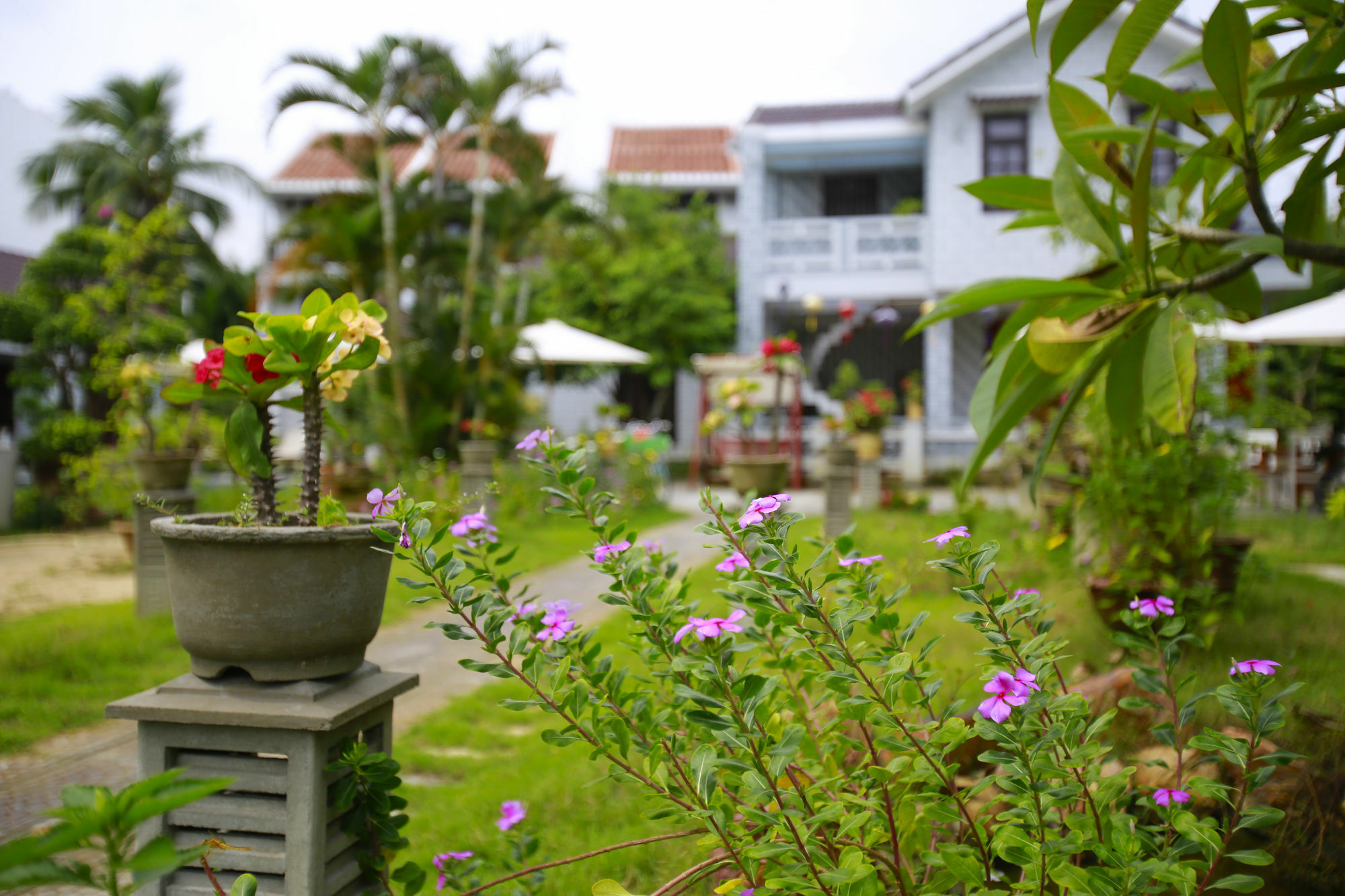 Mr Tho Garden Villas Hoi An Exterior photo